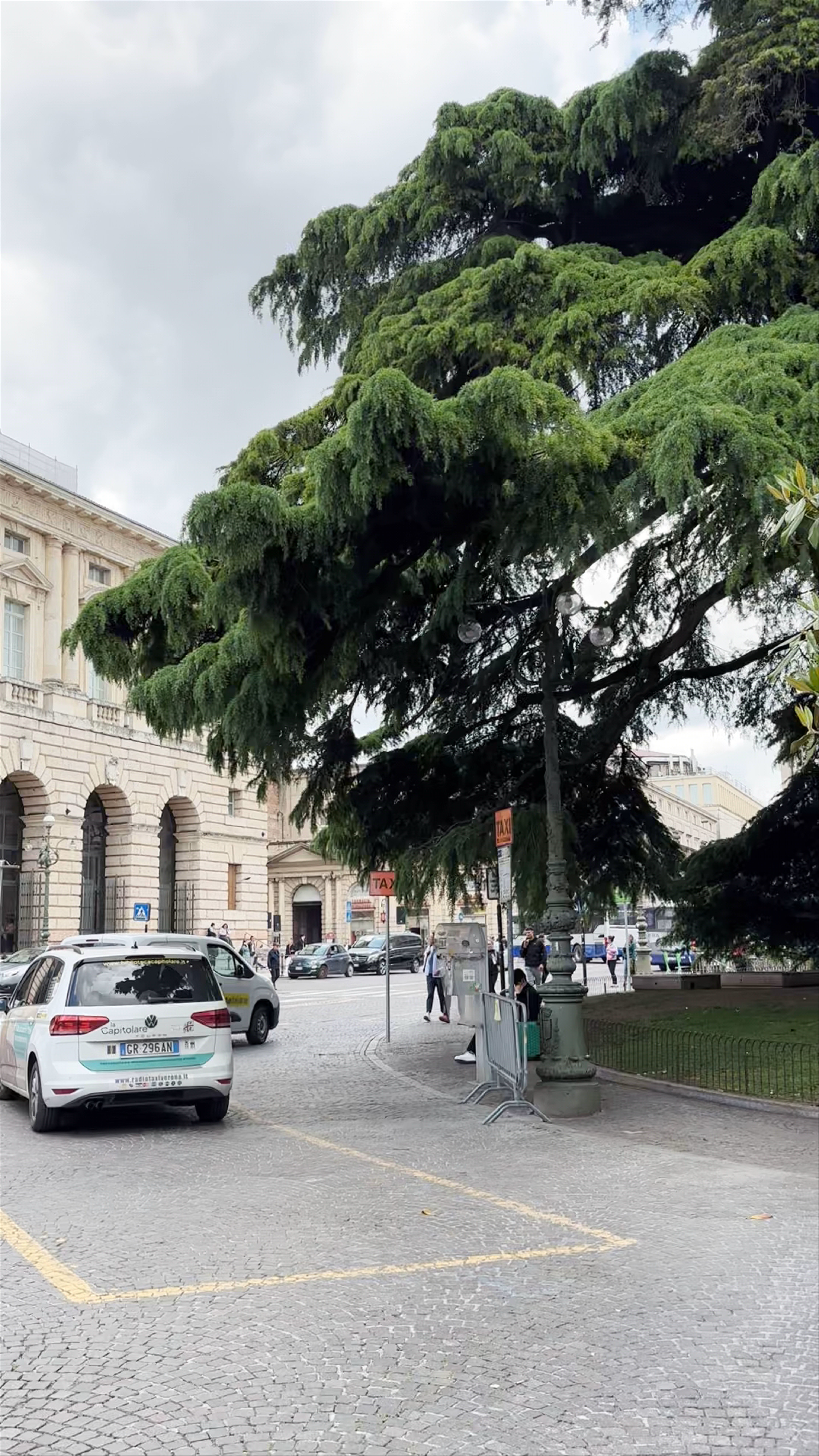 Palazzo Barbieri - Comune di Verona