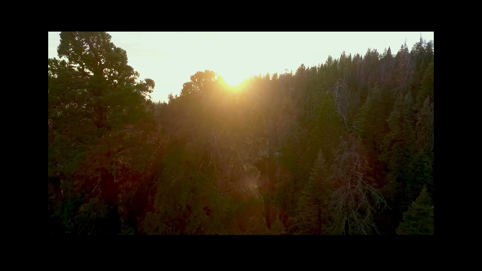 Scene 42