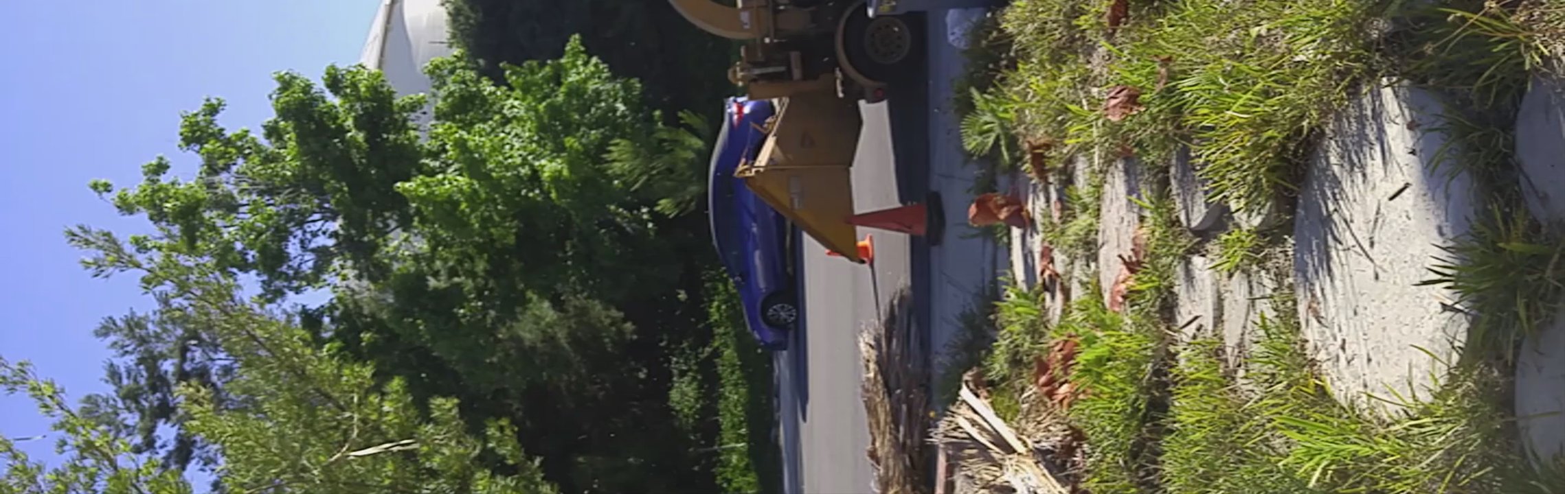 Artistic Tree Services Corp. - Beautiful day for excellent team - Tree Services Near Me