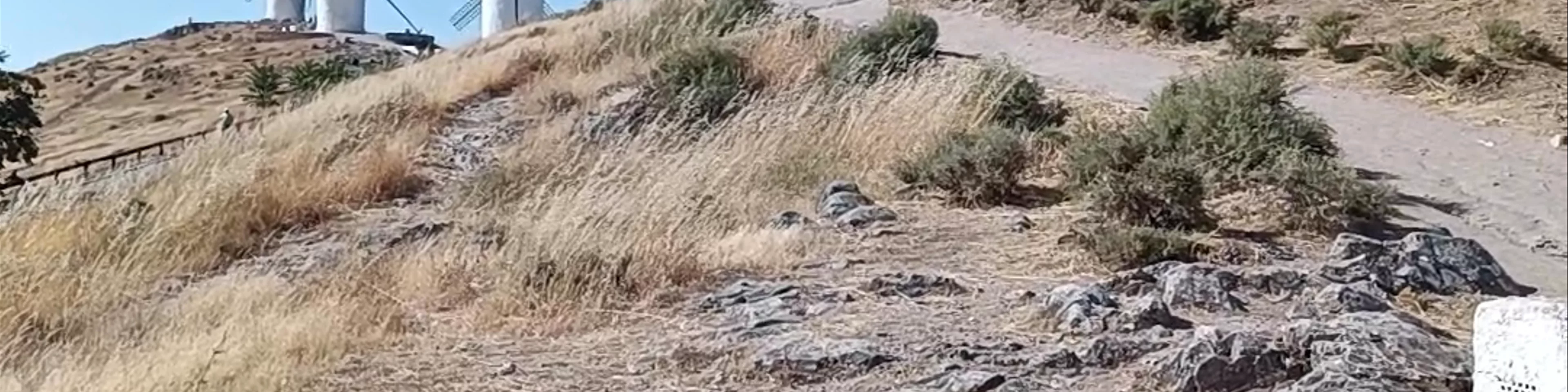 Molinos de Viento de Consuegra