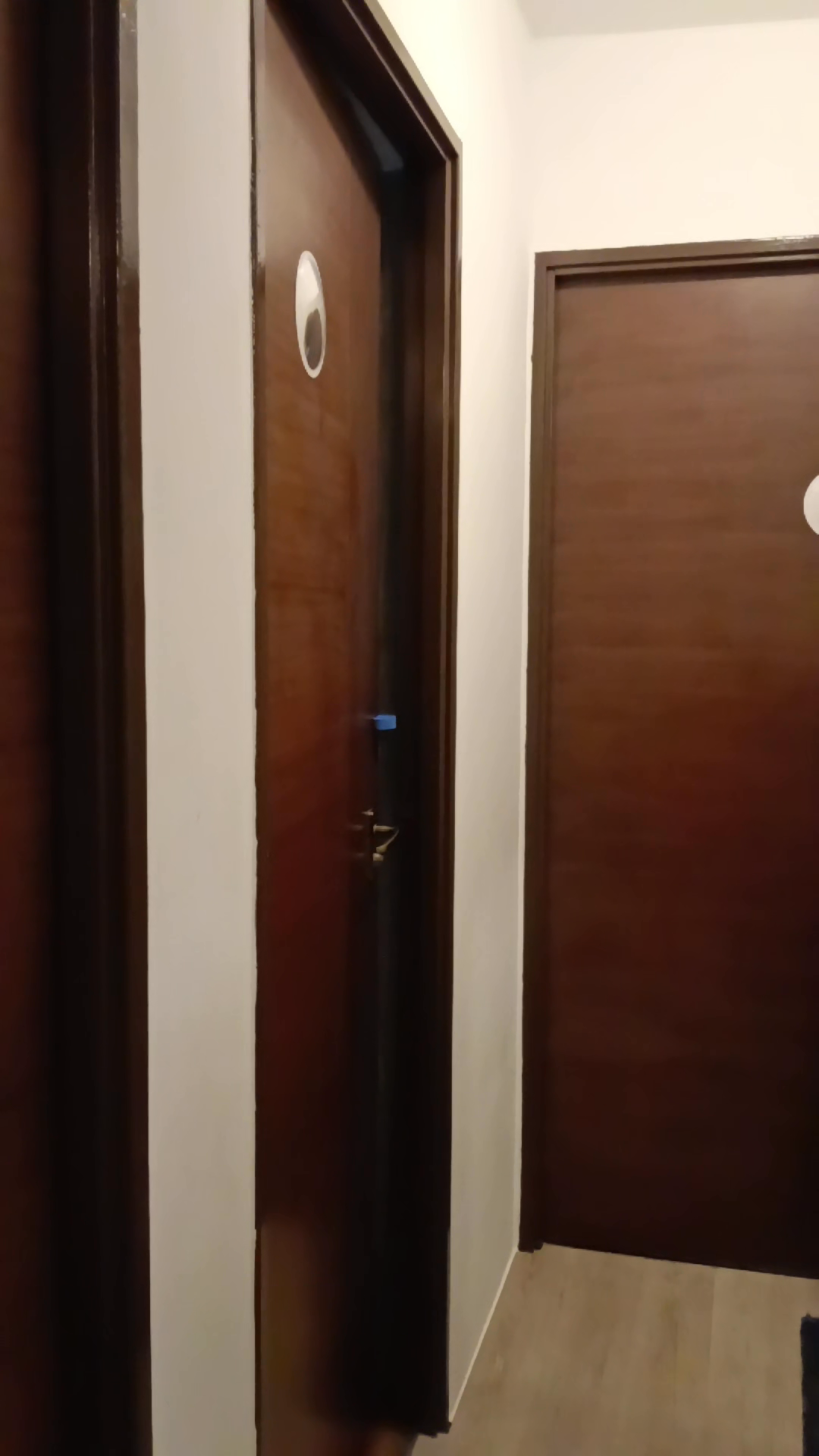 A-corridor-of-👀:-doors-dress-up-