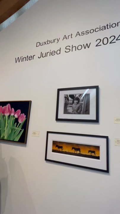 Art Complex Museum - Museums Near Me - Duxbury, Massachusetts