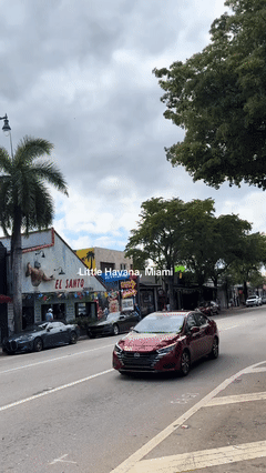 Miami Hotels