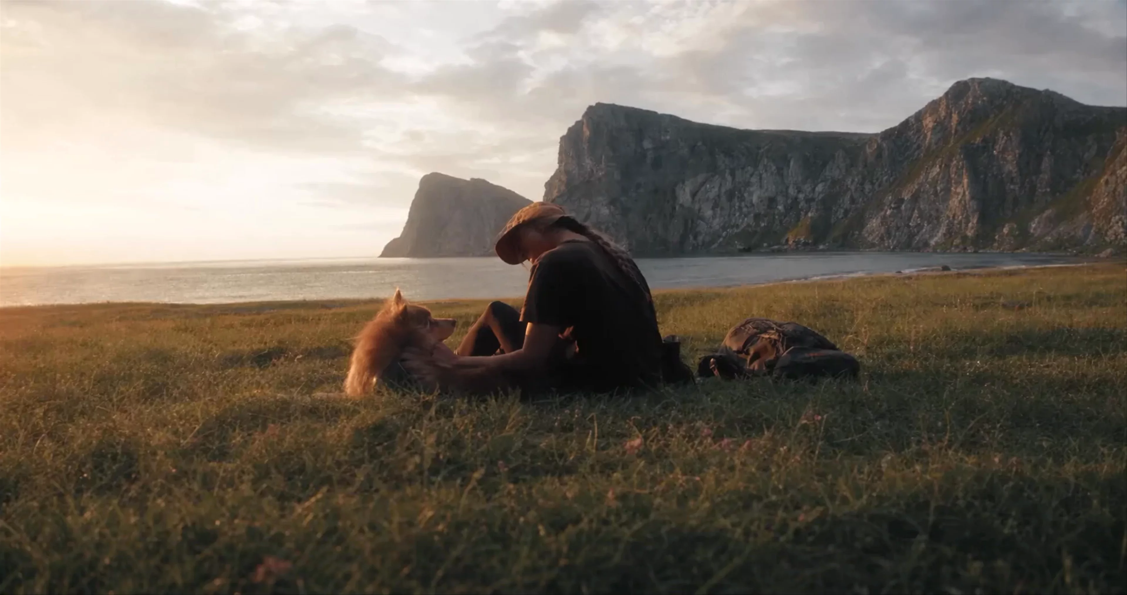 Person and dog on a blanket by the sea at sunset
