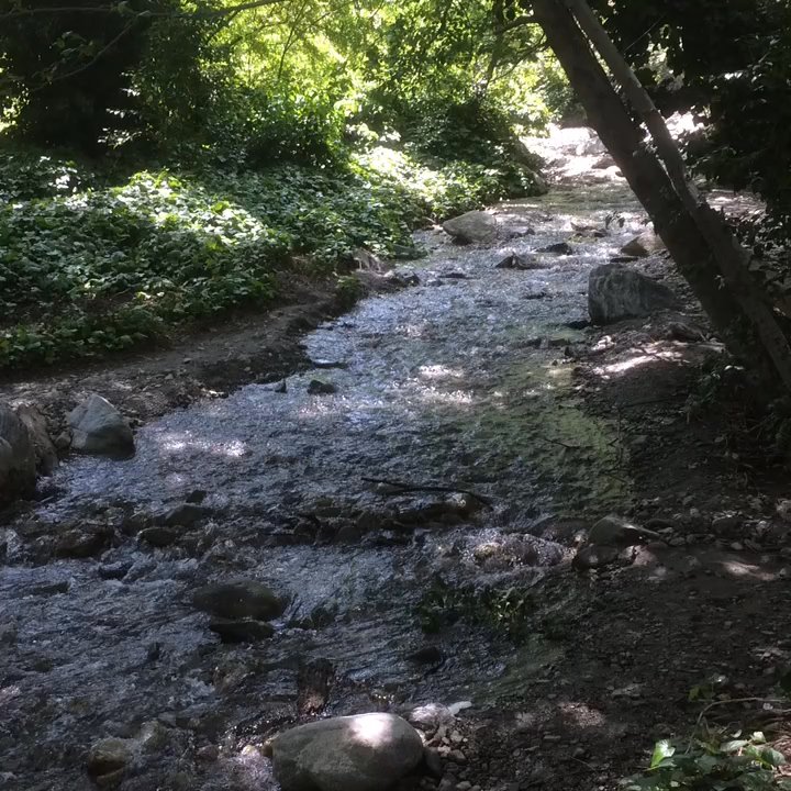 Applewhite Picnic Area - The tree-shaded creek flows pleasantly through Apple White picnic area. - Parks Near Me - Lytle Creek, California