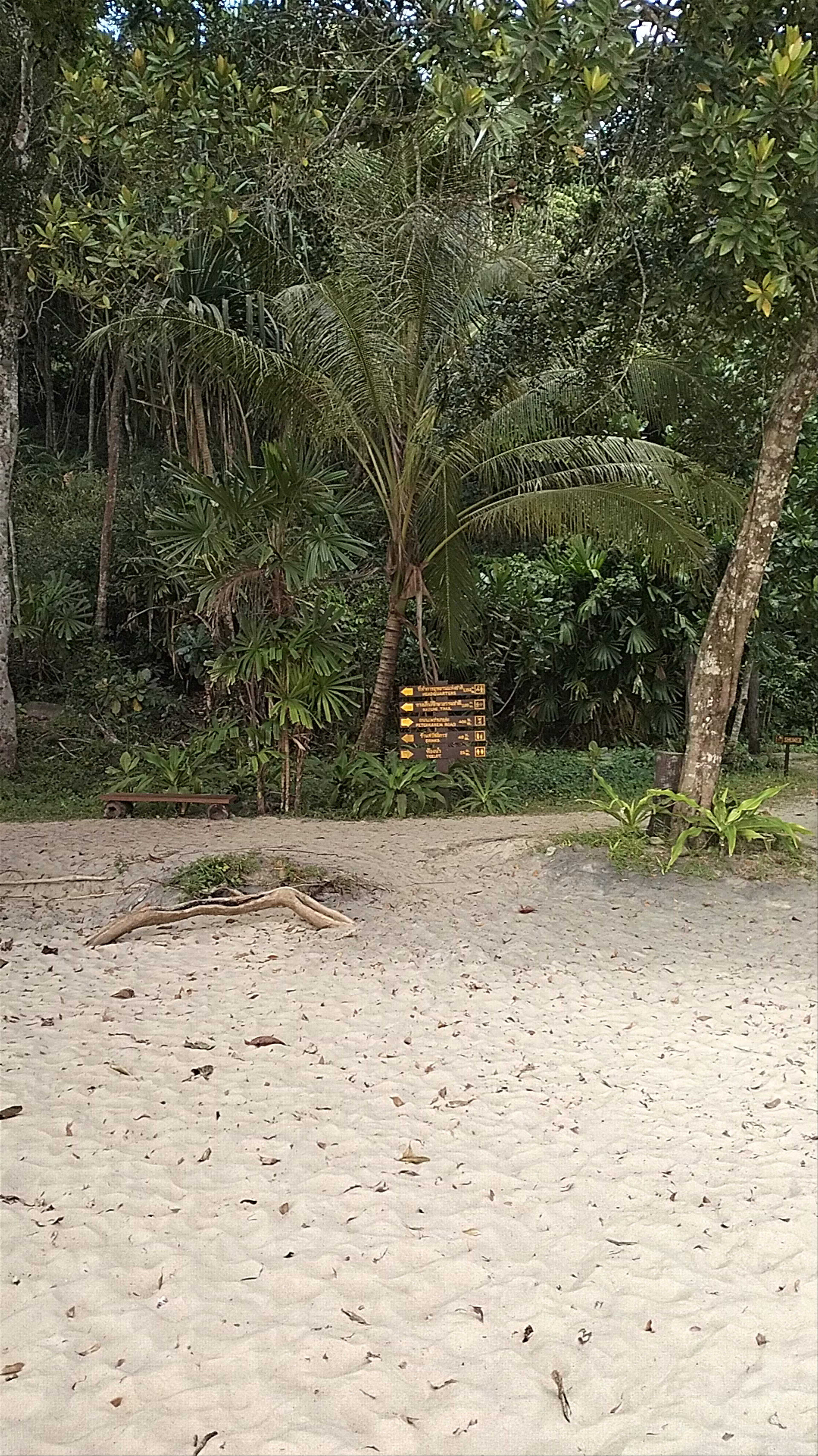 Small Sandy Beach: Tranquil Tropical Escape in Khuekkhak, Phang Nga, Thailand