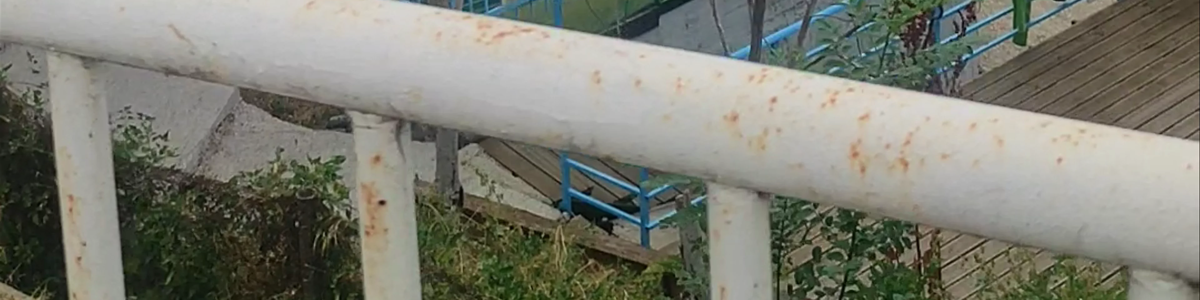 Ιστιοπλοϊκός Όμιλος Καστοριάς