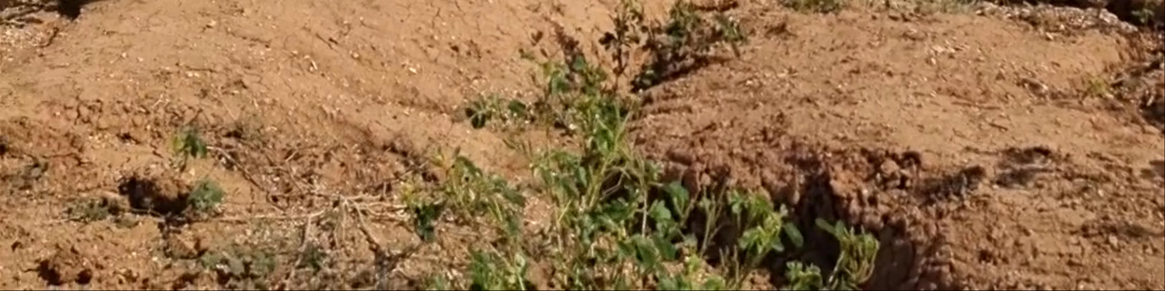 Desierto de la Tatacoa