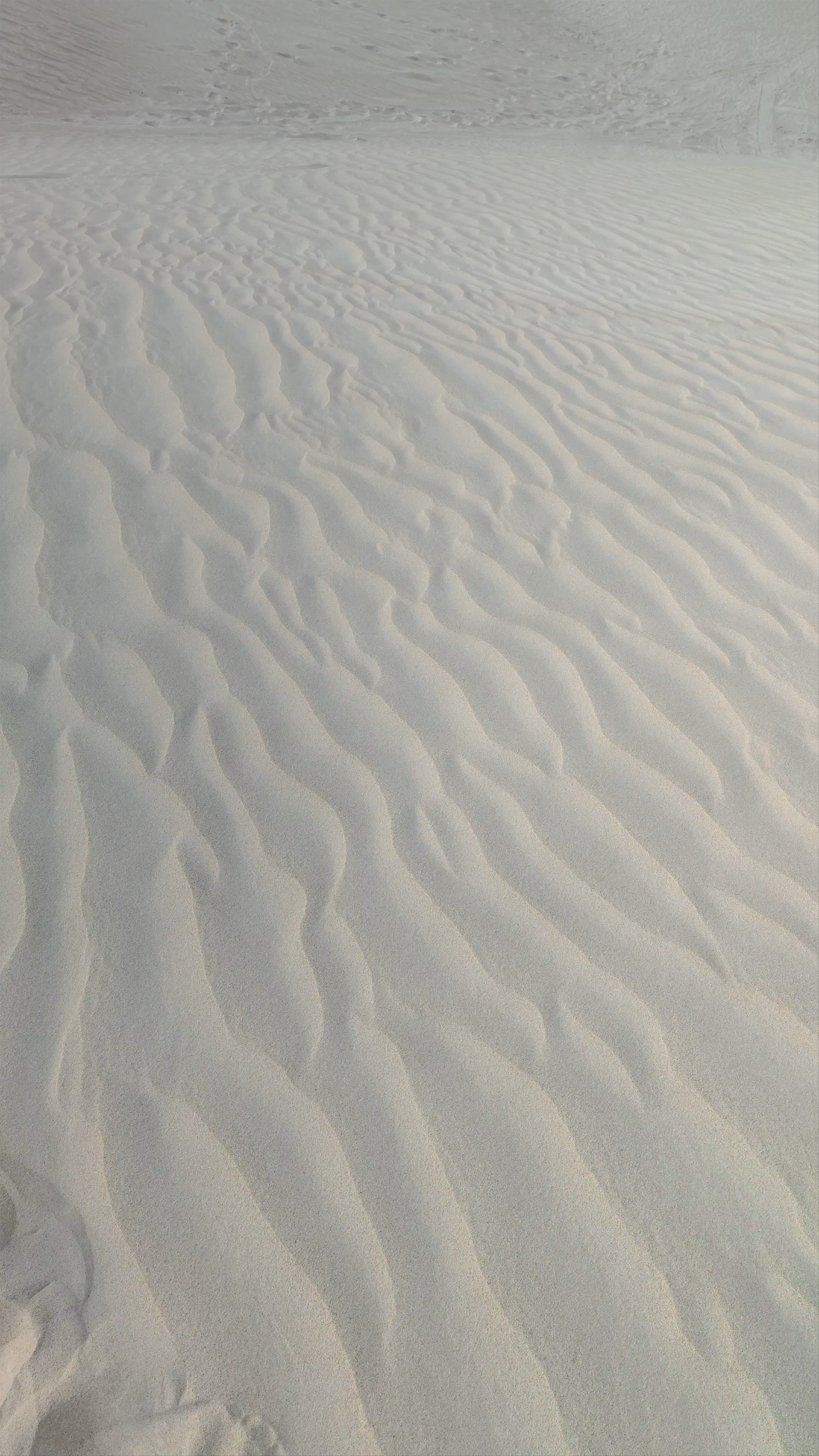 Lancelin Sand Dunes