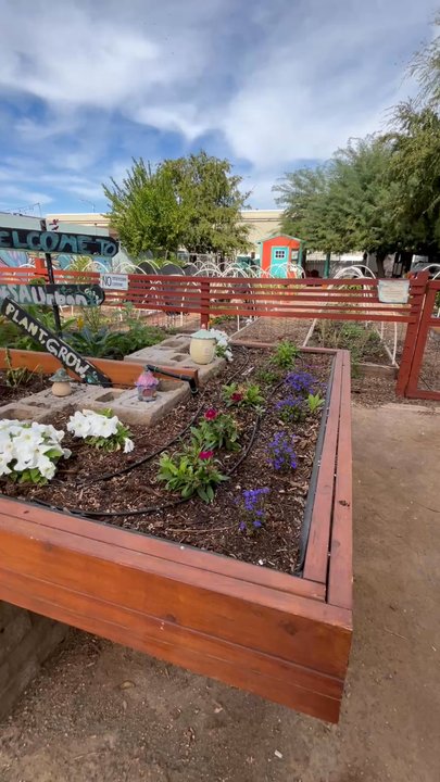 Mesa Urban Garden - Urban Gardening! - Community Service/Non-Profit Near Me - Mesa, Arizona