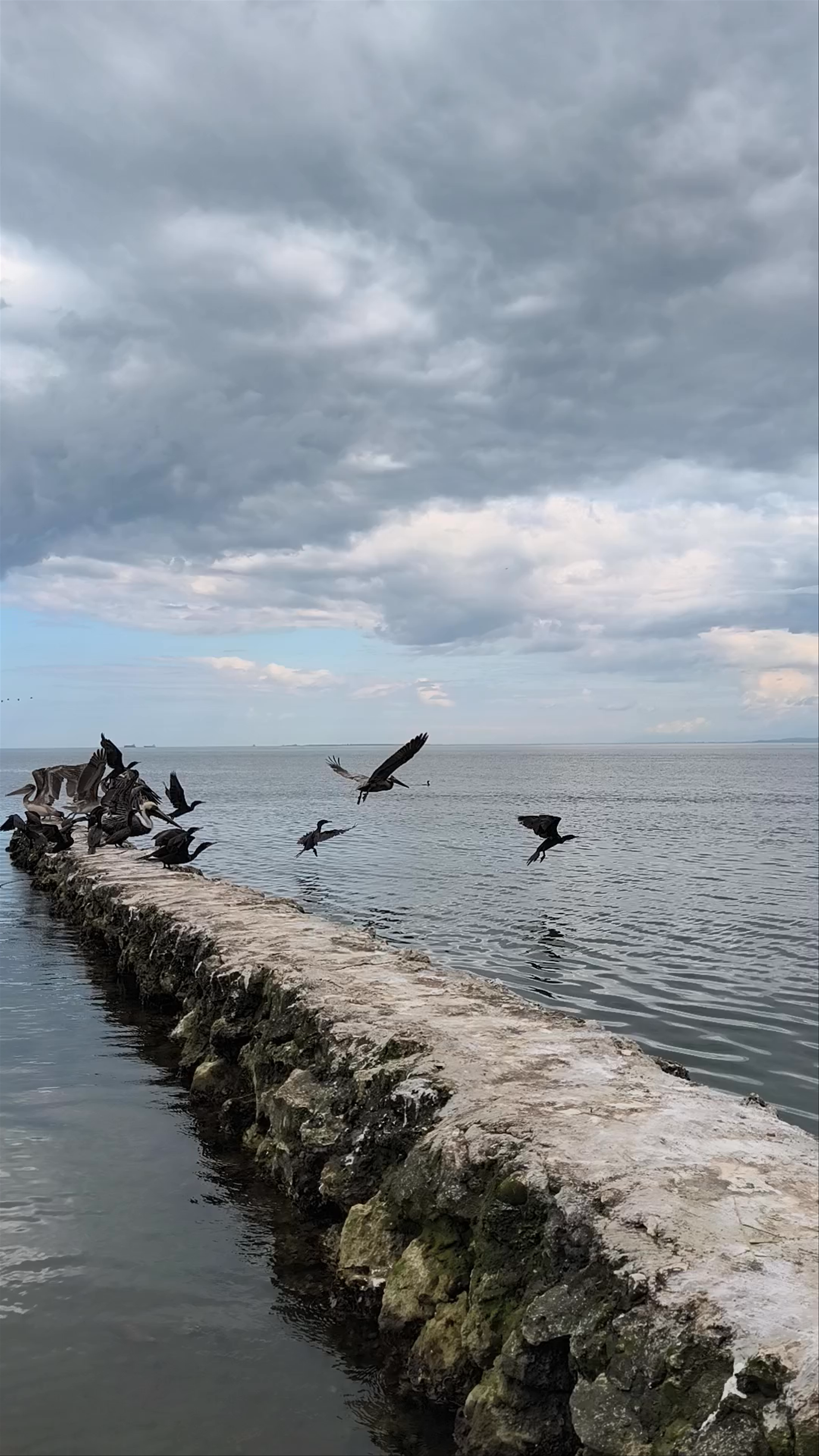 Playa Capitania Cove