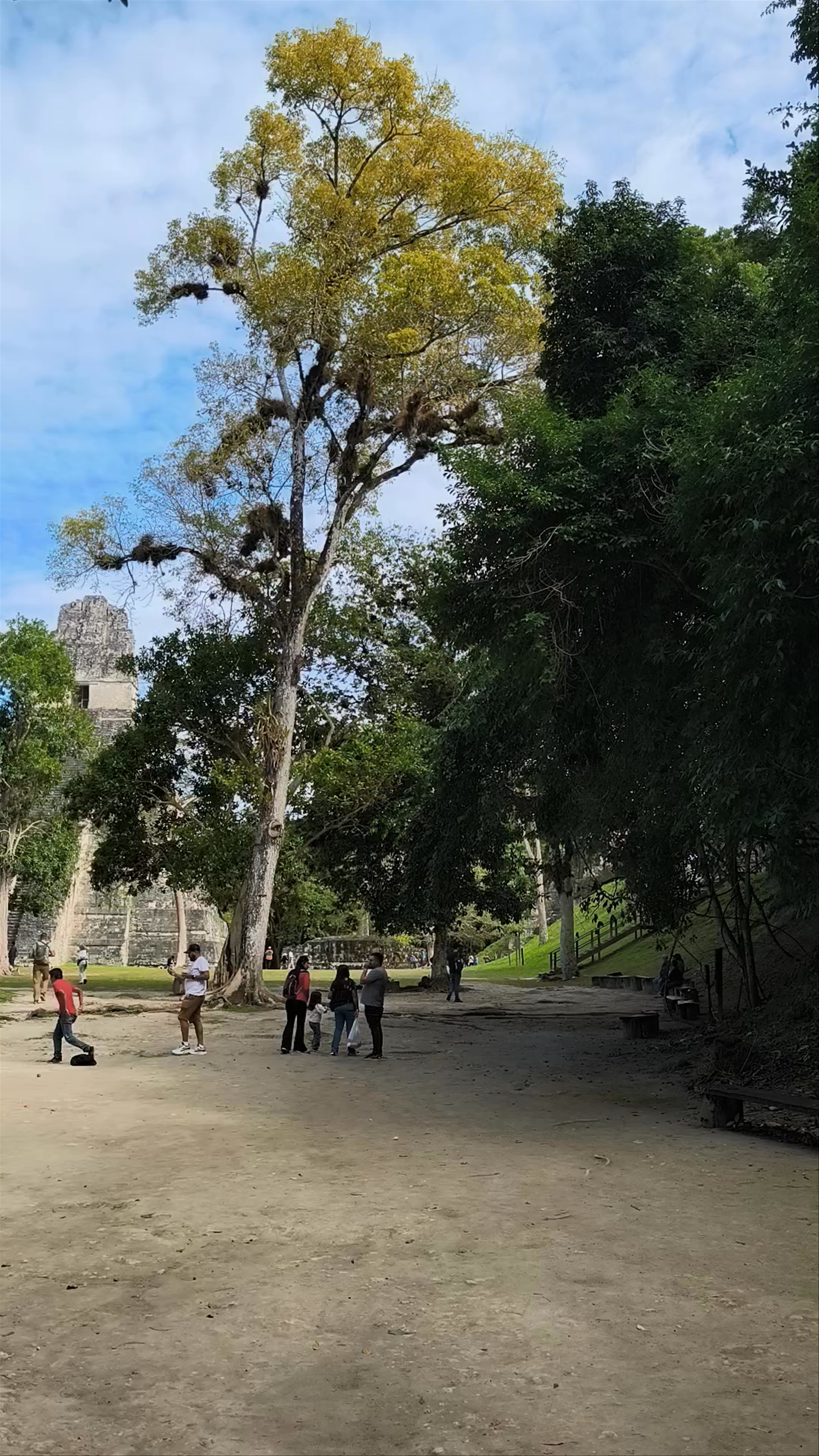 Templo II at Tikal National Park: Ancient Maya Majesty in Guatemala