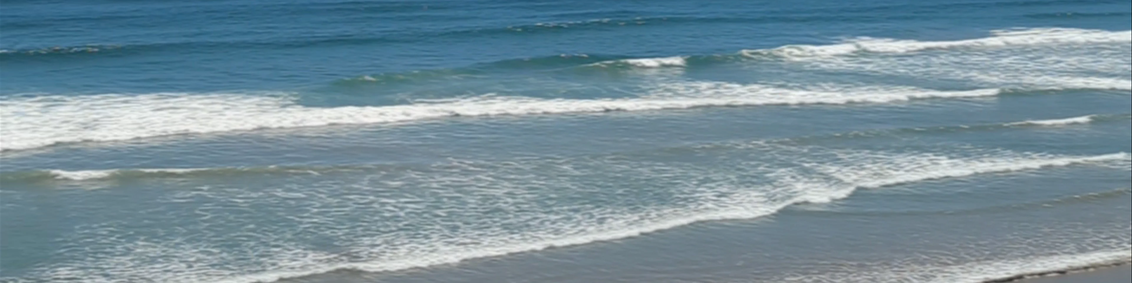 Norman Beach - South Bay