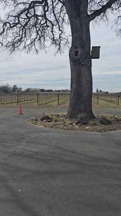 Heritage Oak Winery - Wineries Near Me - Acampo, California