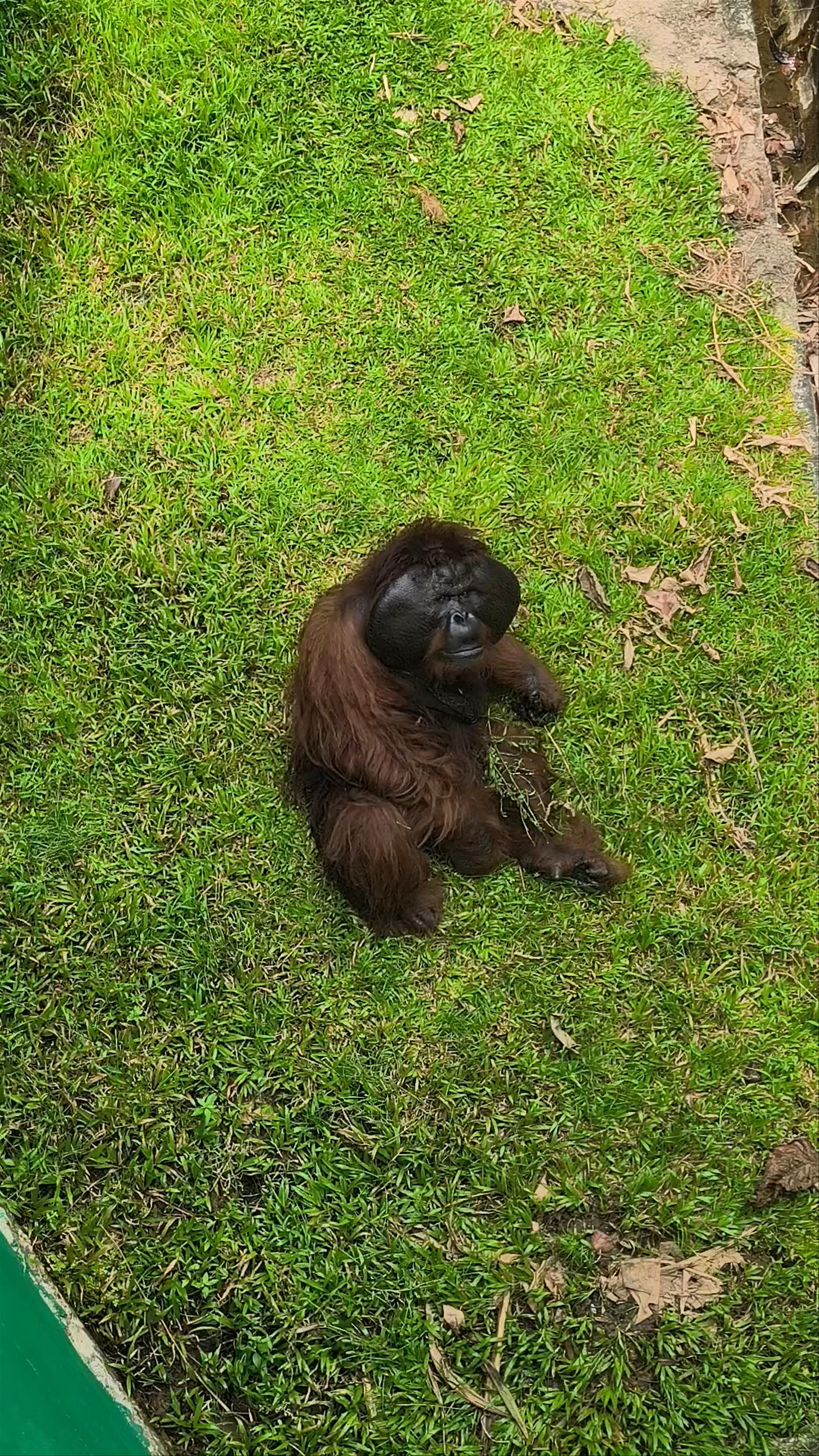 Matang Wildlife Centre