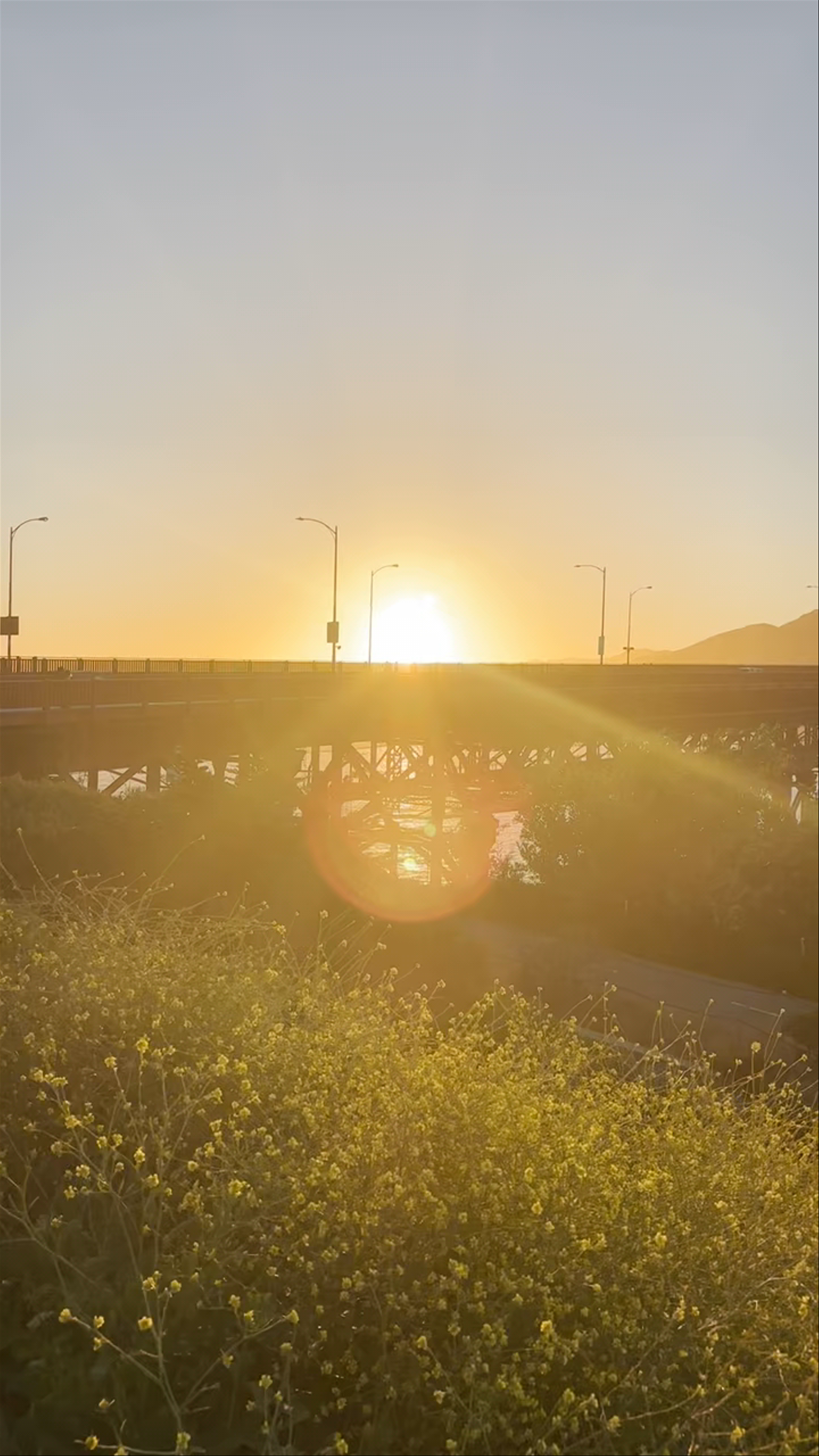 Sunset Serenity at Battery Lancaster, San Francisco