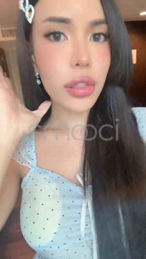 Bananabig available Bangkok Escort Video #27700