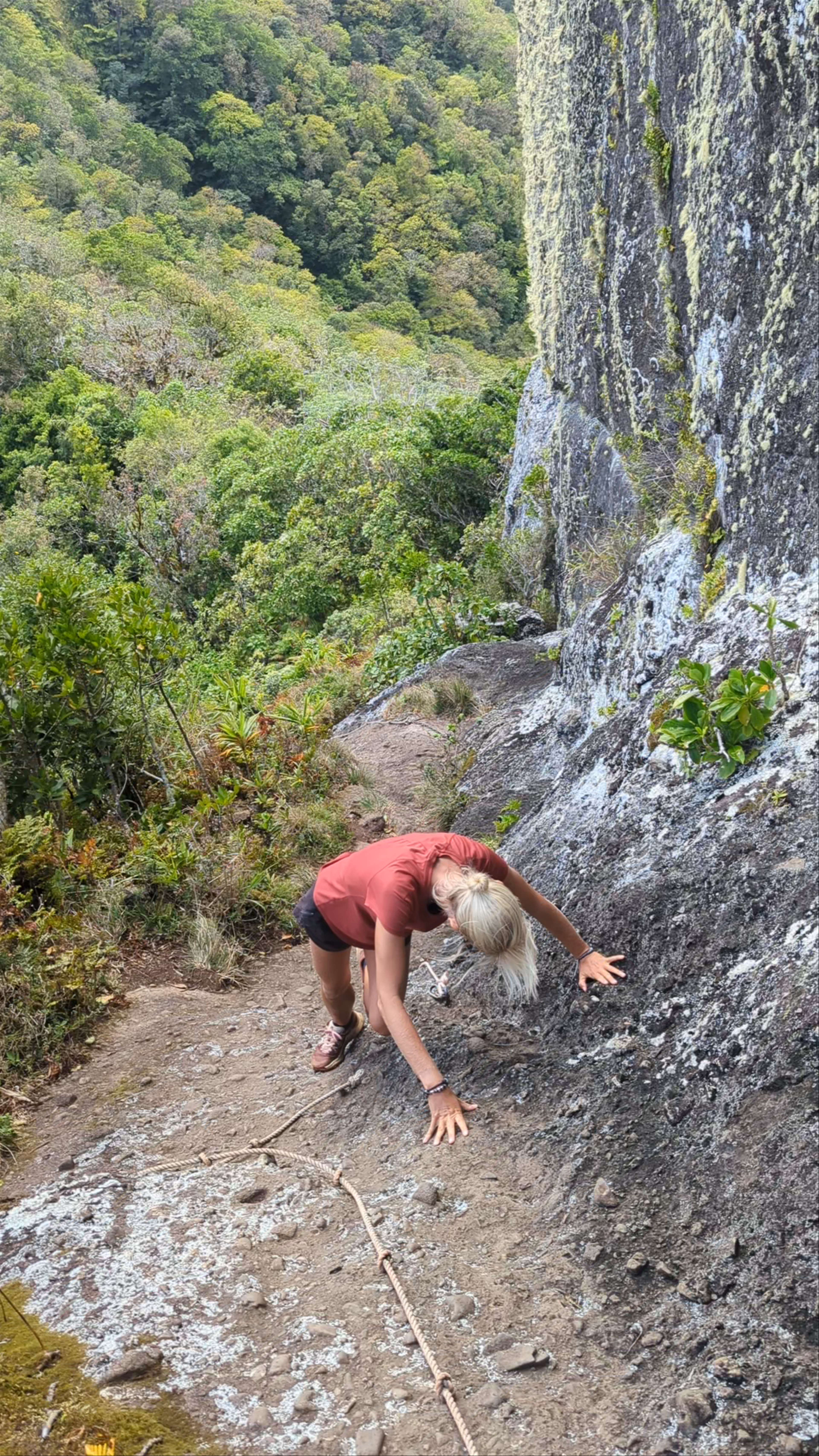 Te Rua Manga (The Needle)