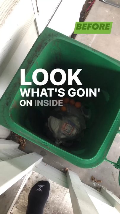 The Bin Trash Spa - Pressure Washers Near Me