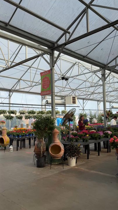 Calloway's Nursery - Nurseries & Gardening Near Me - Plano, Texas