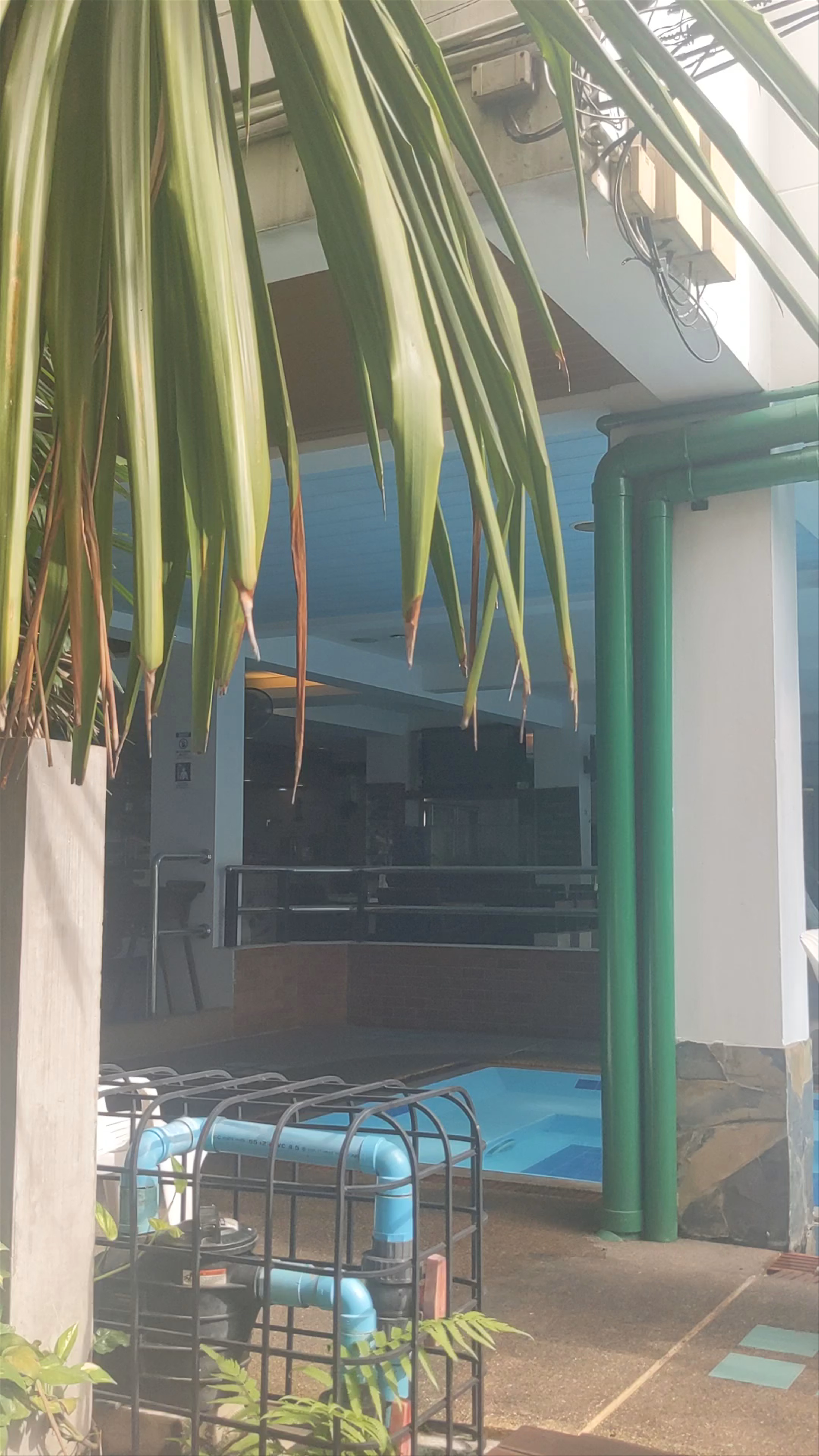 Chill Poolside Moments at New Siam Guesthouse, Bangkok