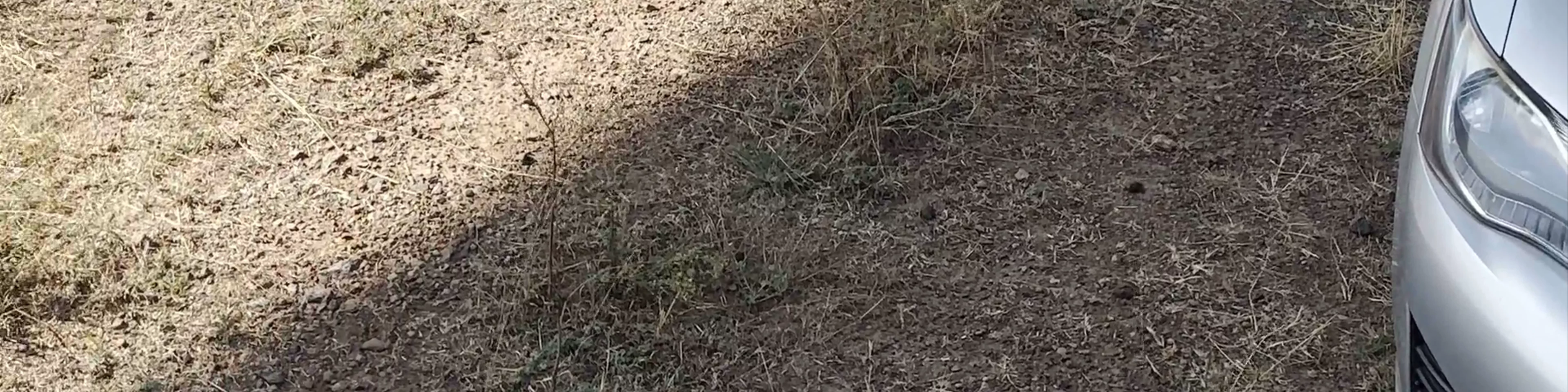 Nairobi National Park