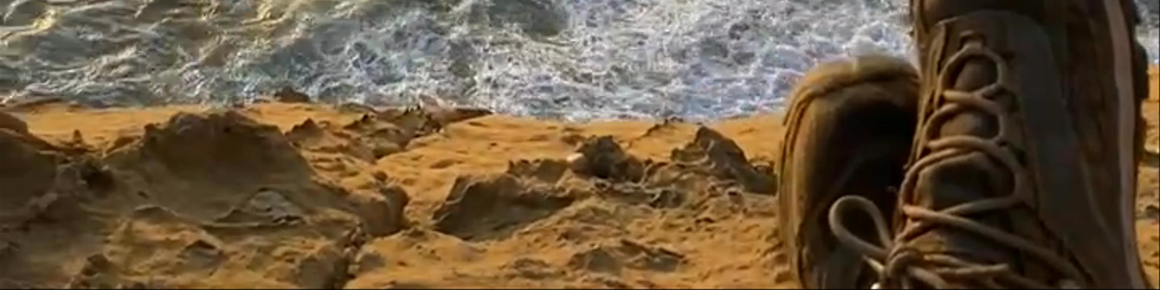 Paracas National Reserve
