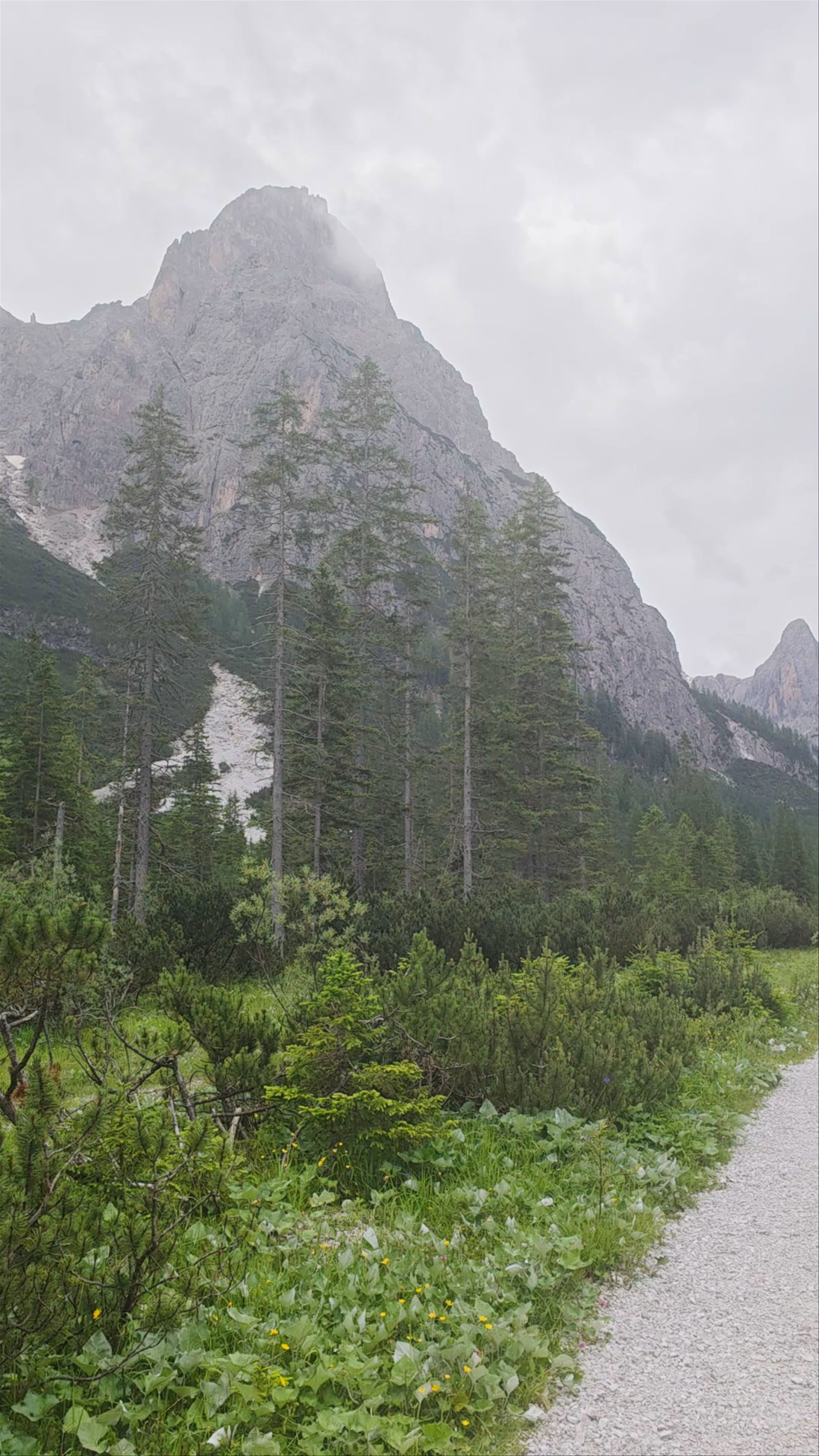 Misty Mountain Trail in Val Fiscalina, South Tyrol