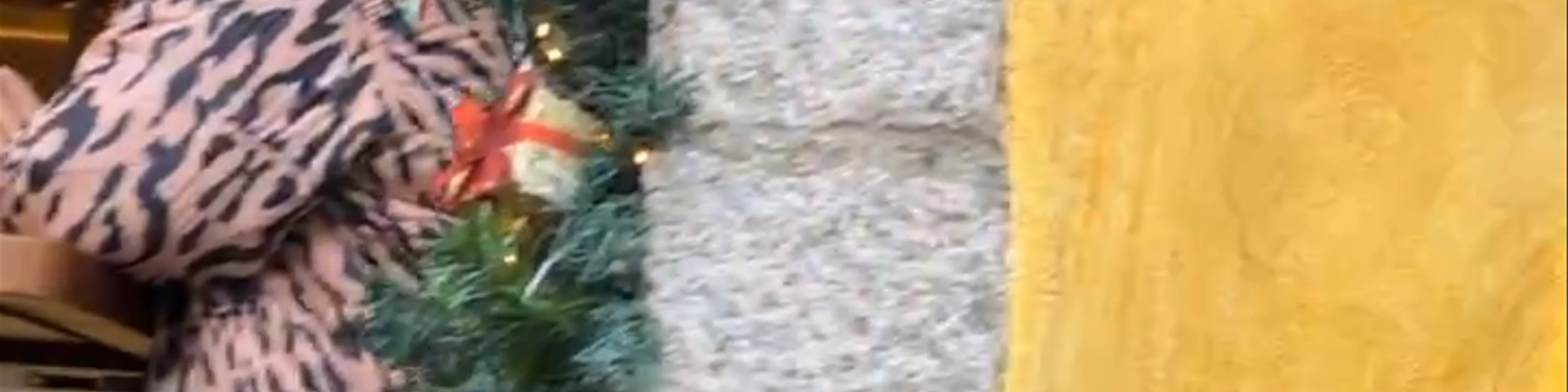 Τυφλόμυγα