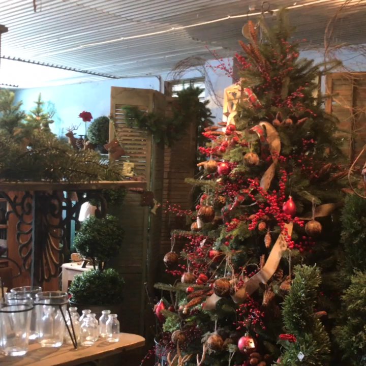 In The Garden - Footage 6.  Ho ho ho! - Flowers & Gifts Near Me - Bainbridge, Georgia