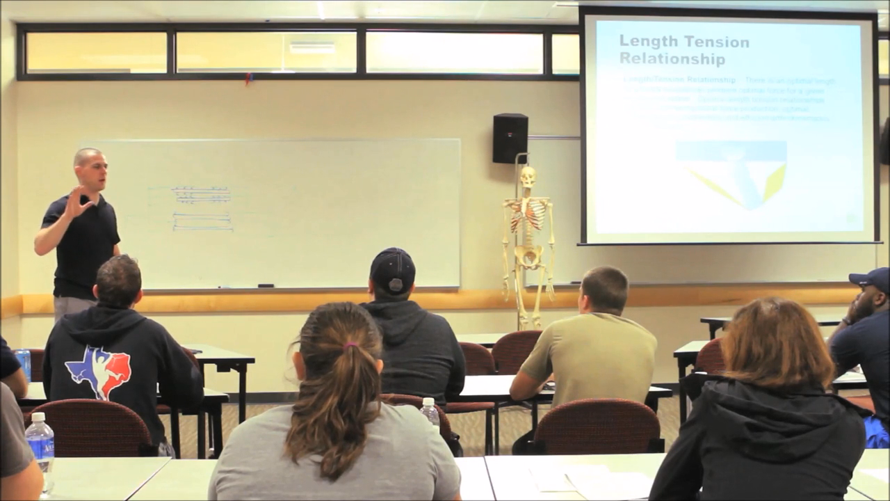 Human Movement Science Concepts 1: Video #26 of Introduction to Functional Anatomy