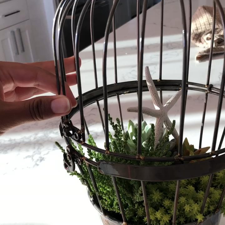 Video thumbnail 5 more videos