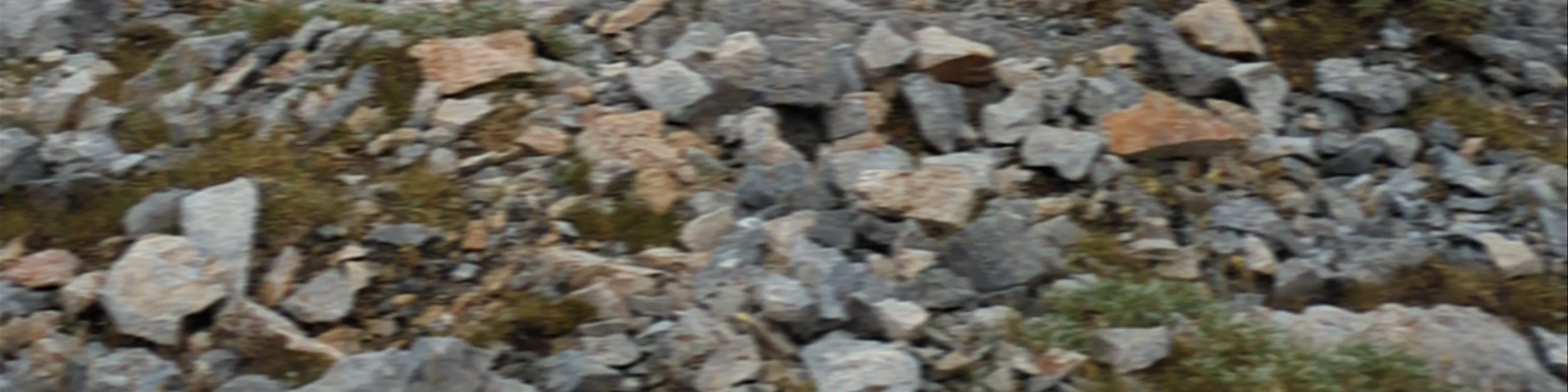 Λαιμός