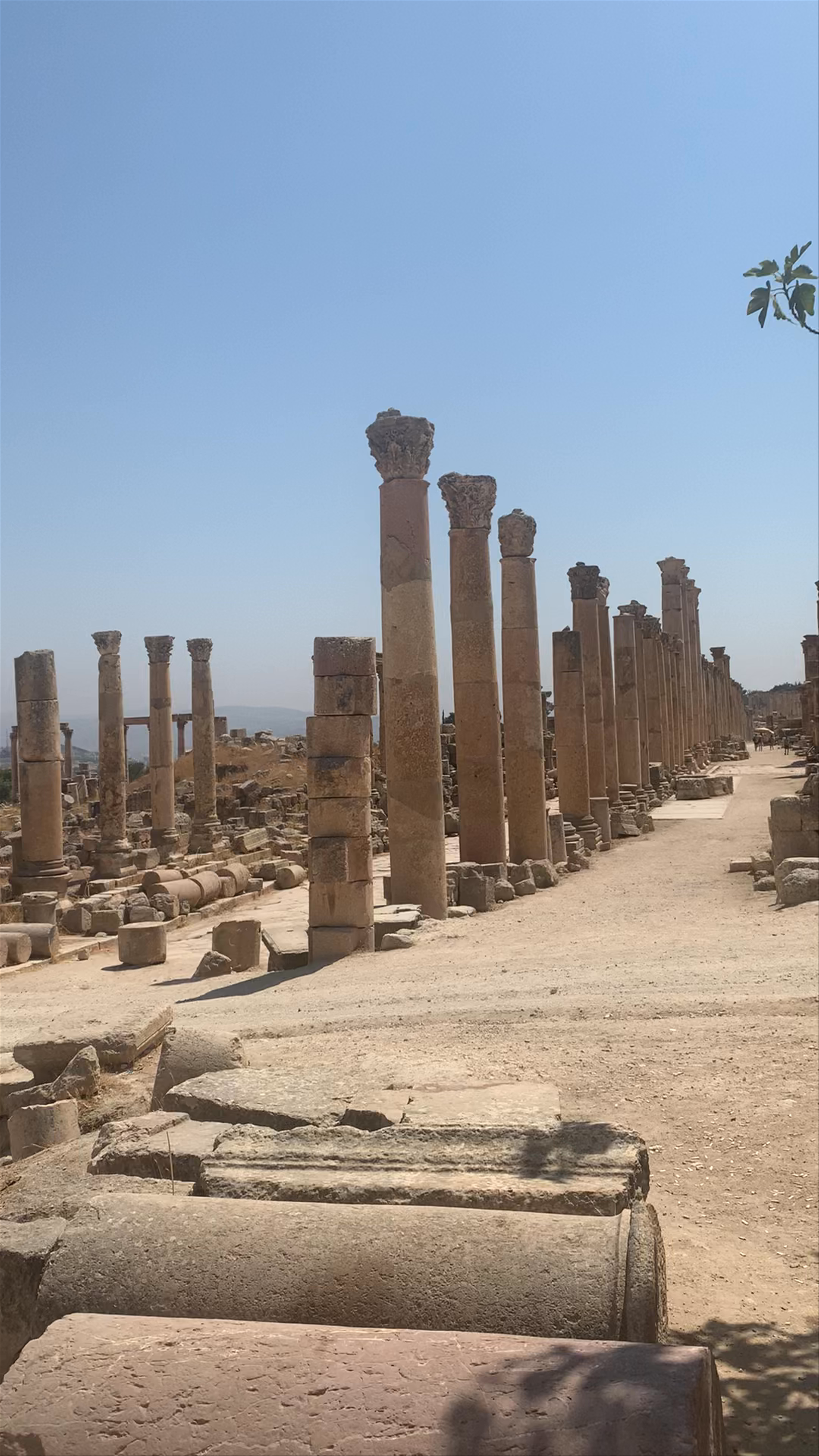 Jerash Archaeological Site