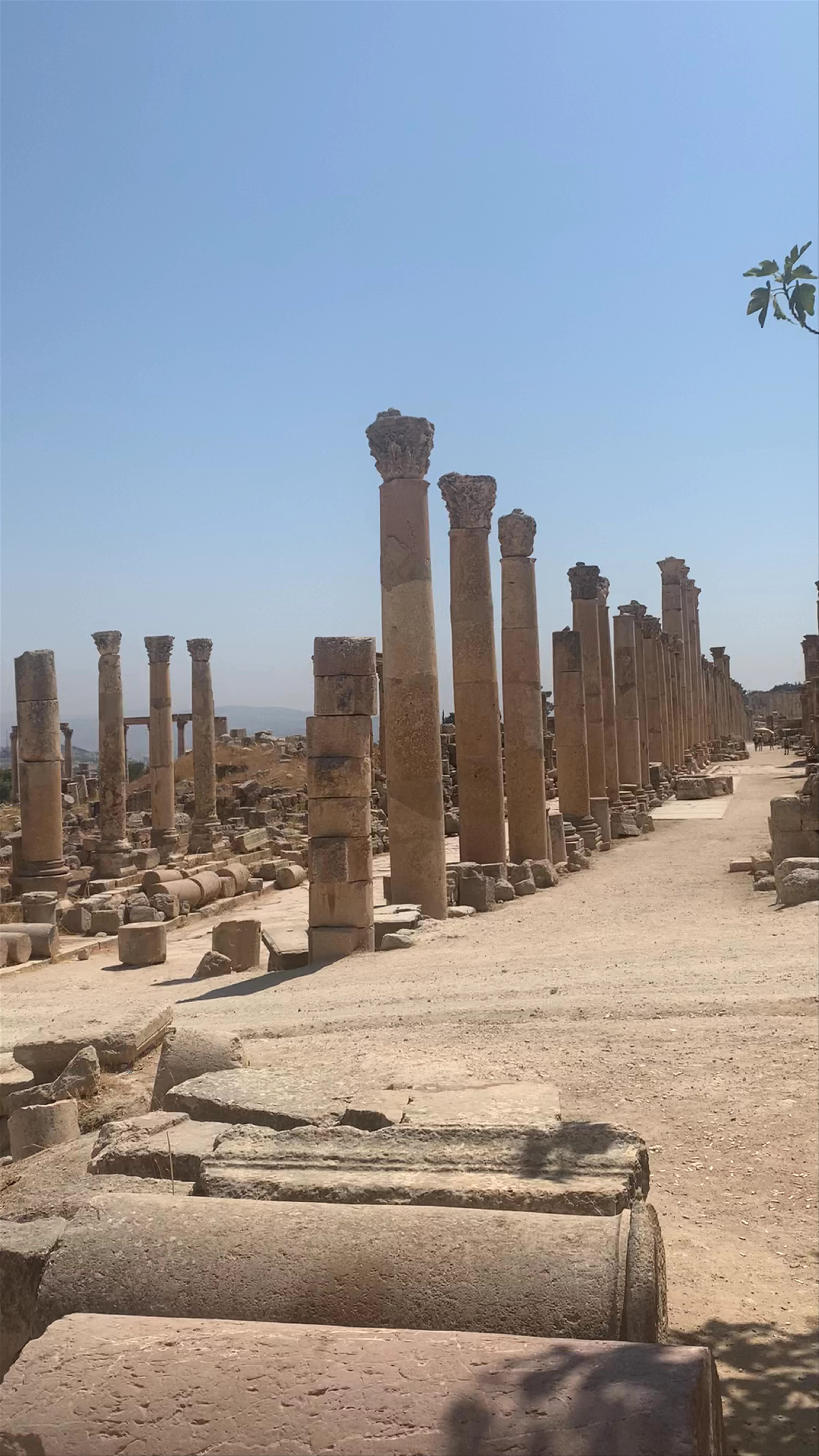Jarash