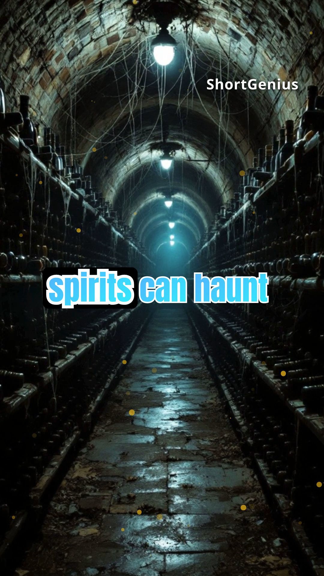 The Wraith of the Wine Cellar: A Sommelier's Spirit