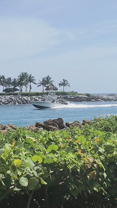 Jupiter Beach Park - Beaches Near Me - Jupiter, Florida