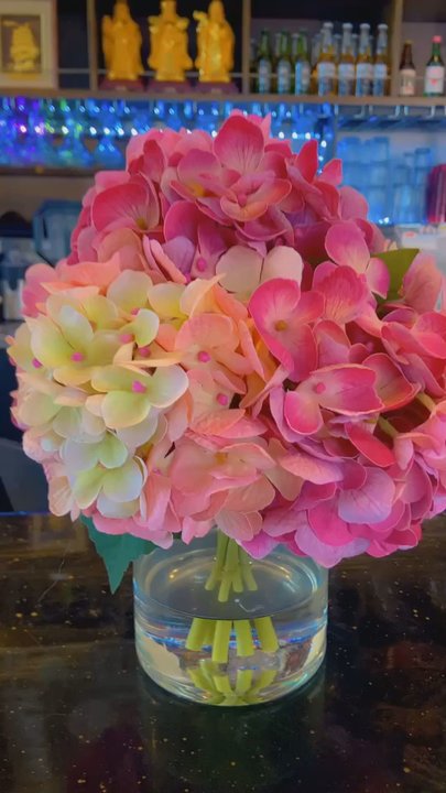 VPho - Lovely, Modern, and Beautiful! - Vietnamese Near Me - Campbell, California