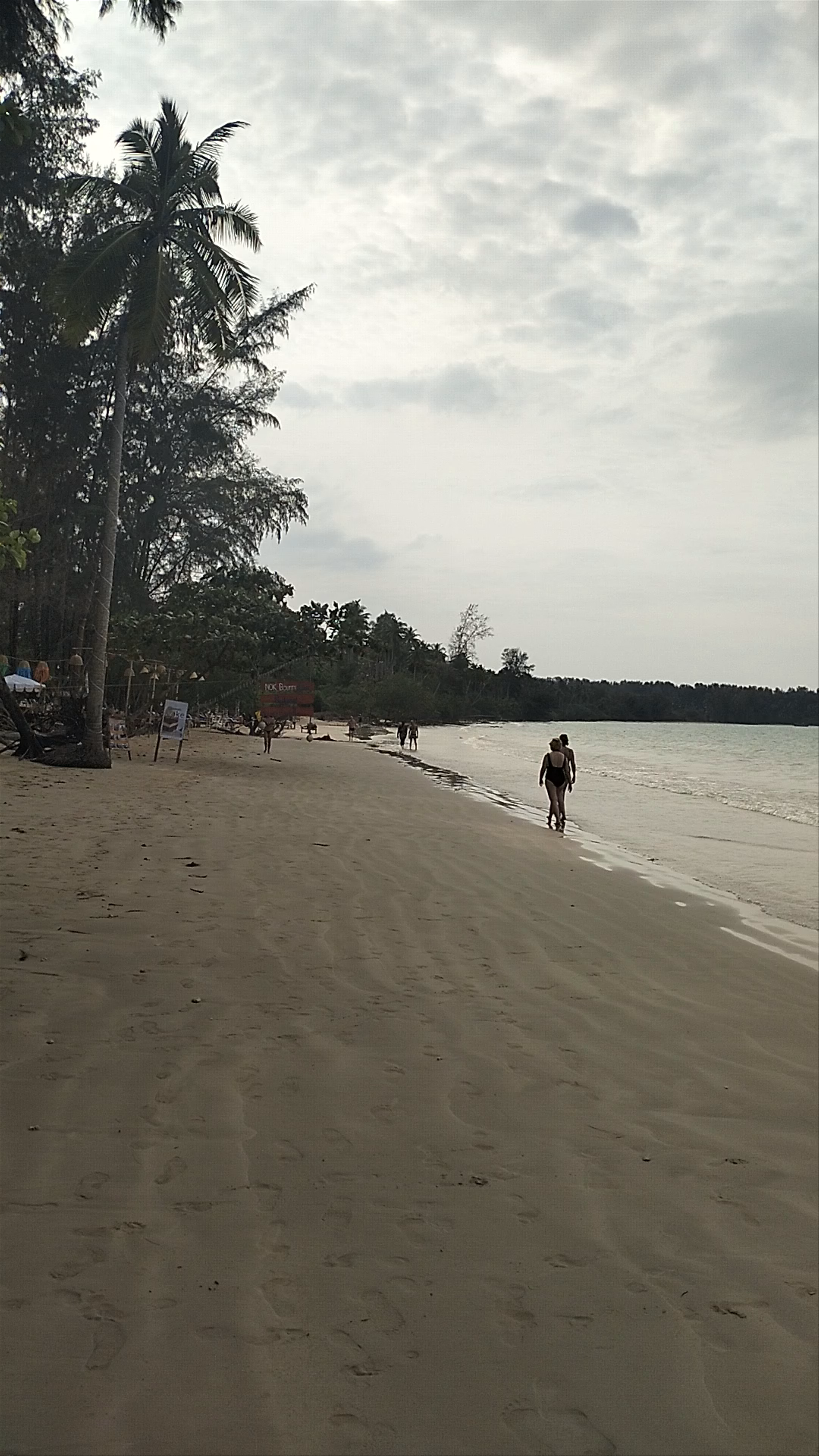 Coconut Beach Escape: Serene Shores of Khuekkhak, Phang Nga, Thailand