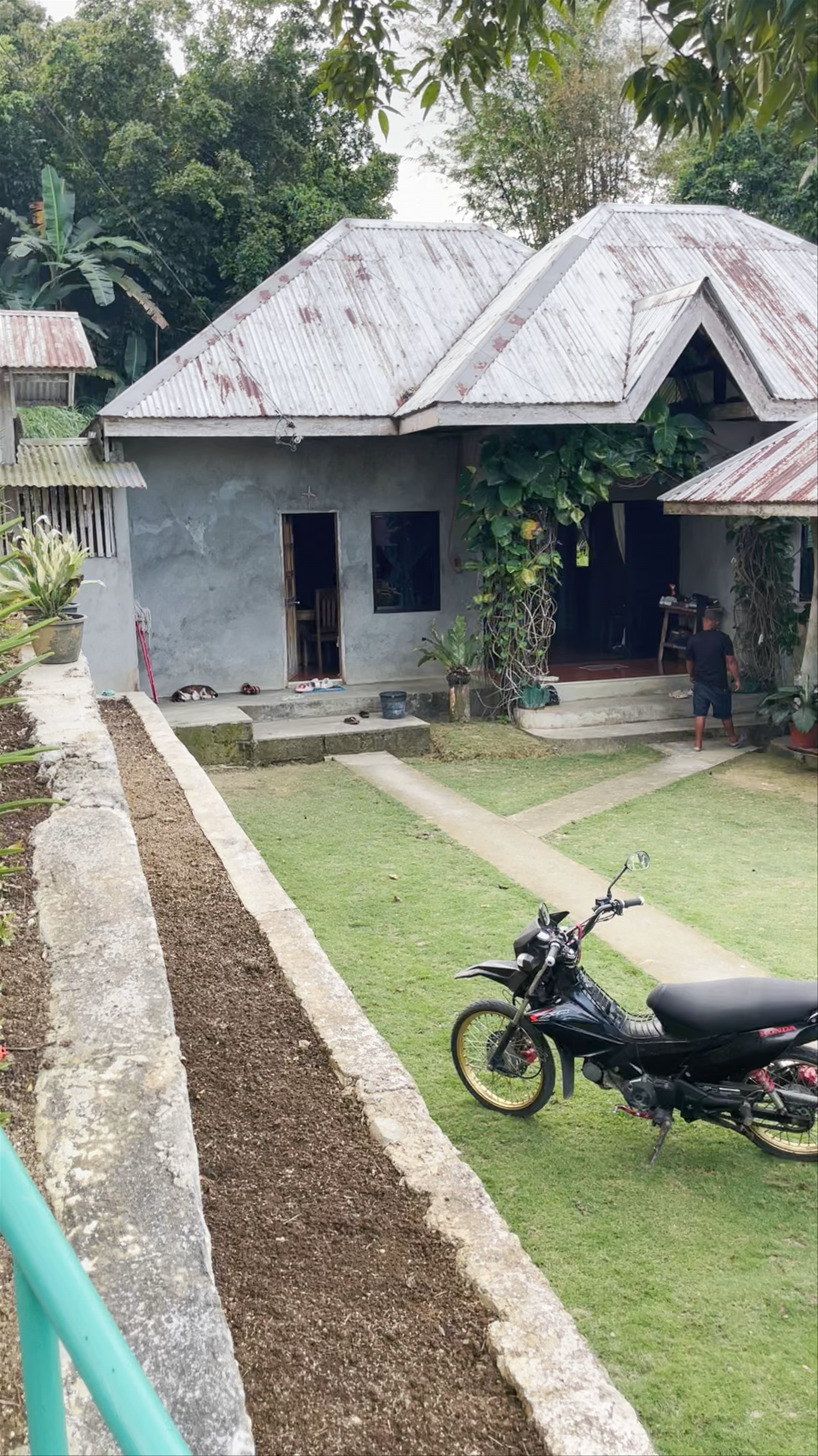 Butterfly Sanctuary: A Serene Escape in Lazi, Siquijor, Philippines