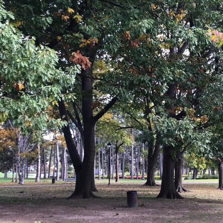 Gage Park - Gage Park - Parks Near Me - Hamilton, Ontario
