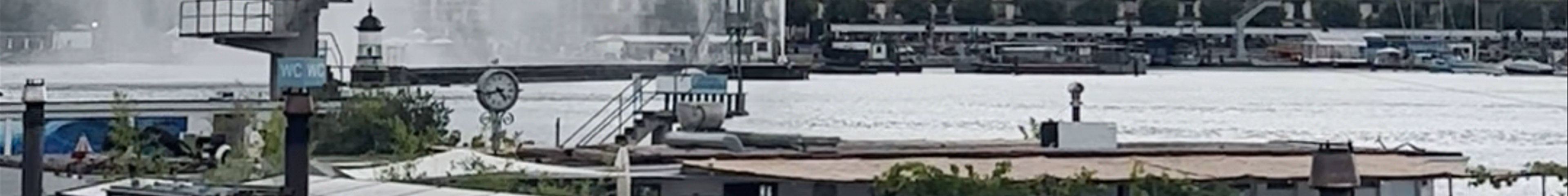 Tours & experiences in Genève
