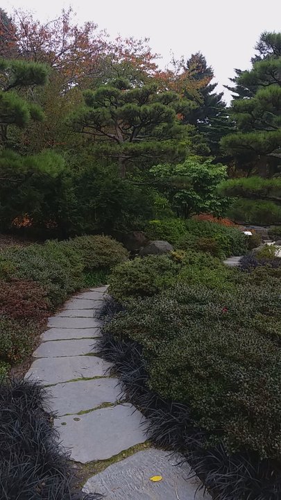 Loki-Schmidt-Garten - Japanischer Garten - Botanical Gardens Near Me - Hamburg, HH