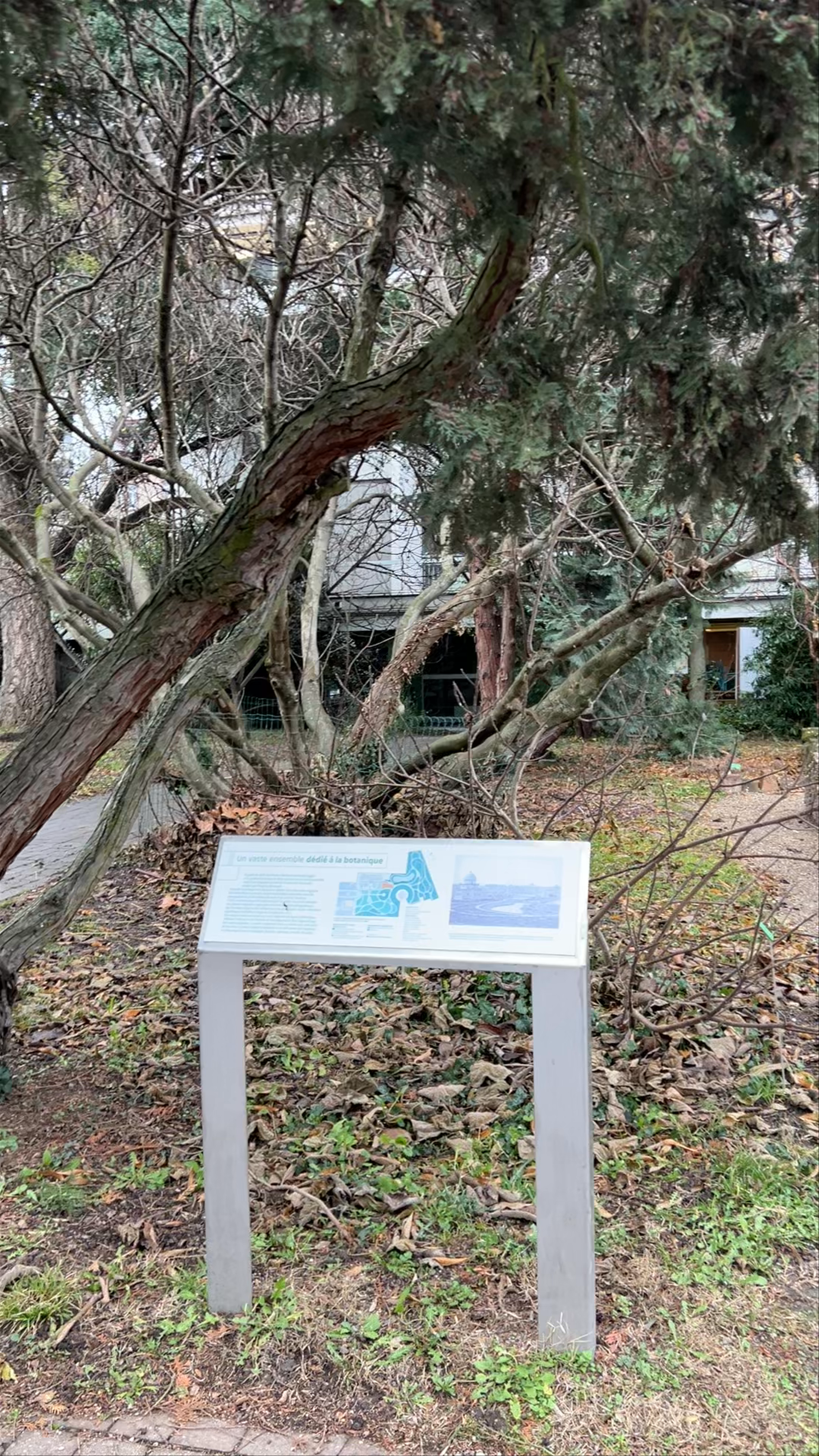 Jardin Botanique de l'université de Strasbourg