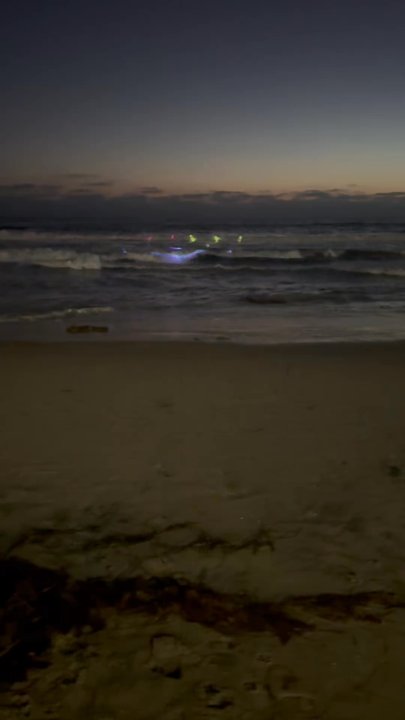 La Cerve - Beach Bars Near Me - Tijuana, BCN