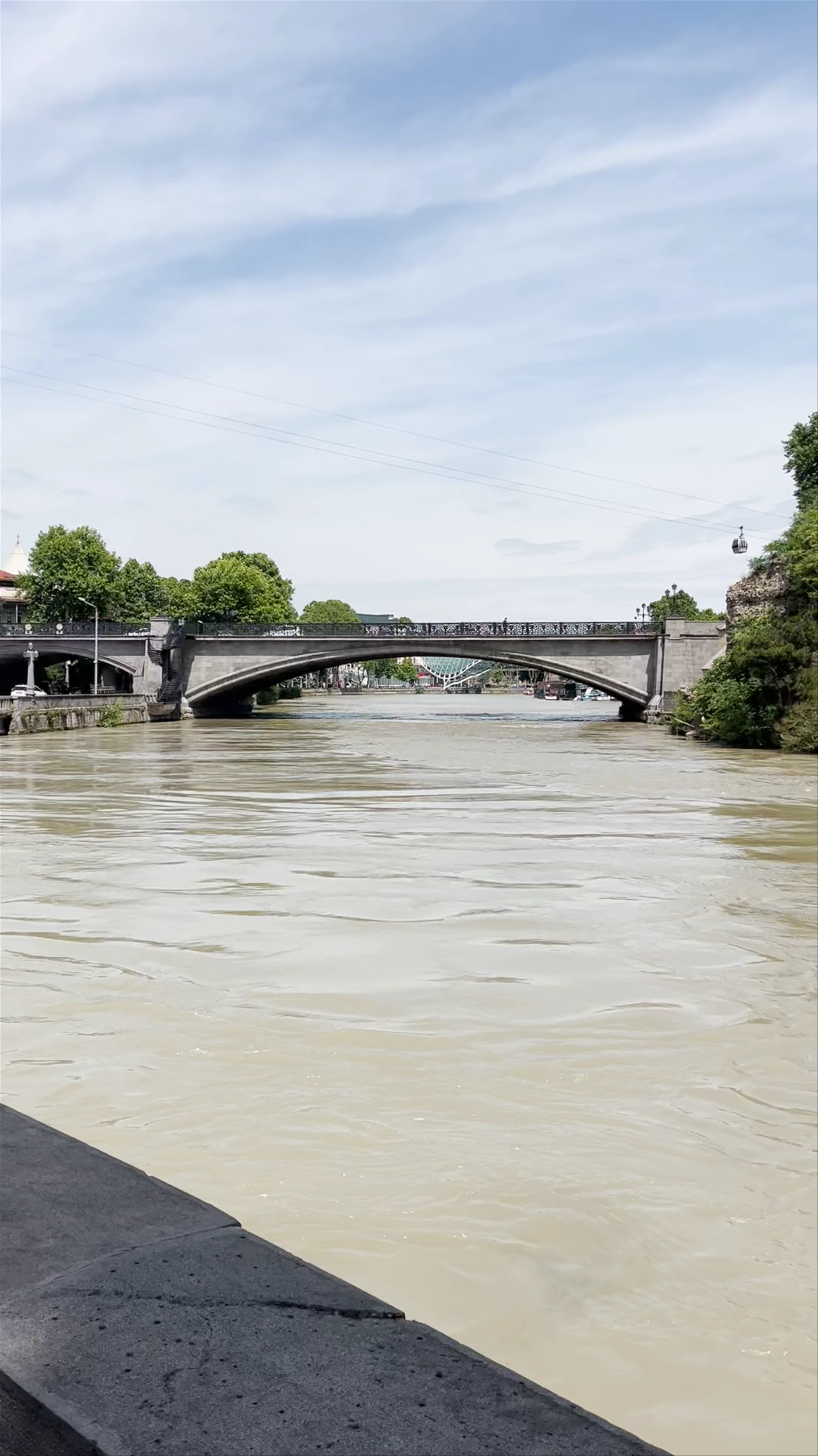 Metekhi Bridge