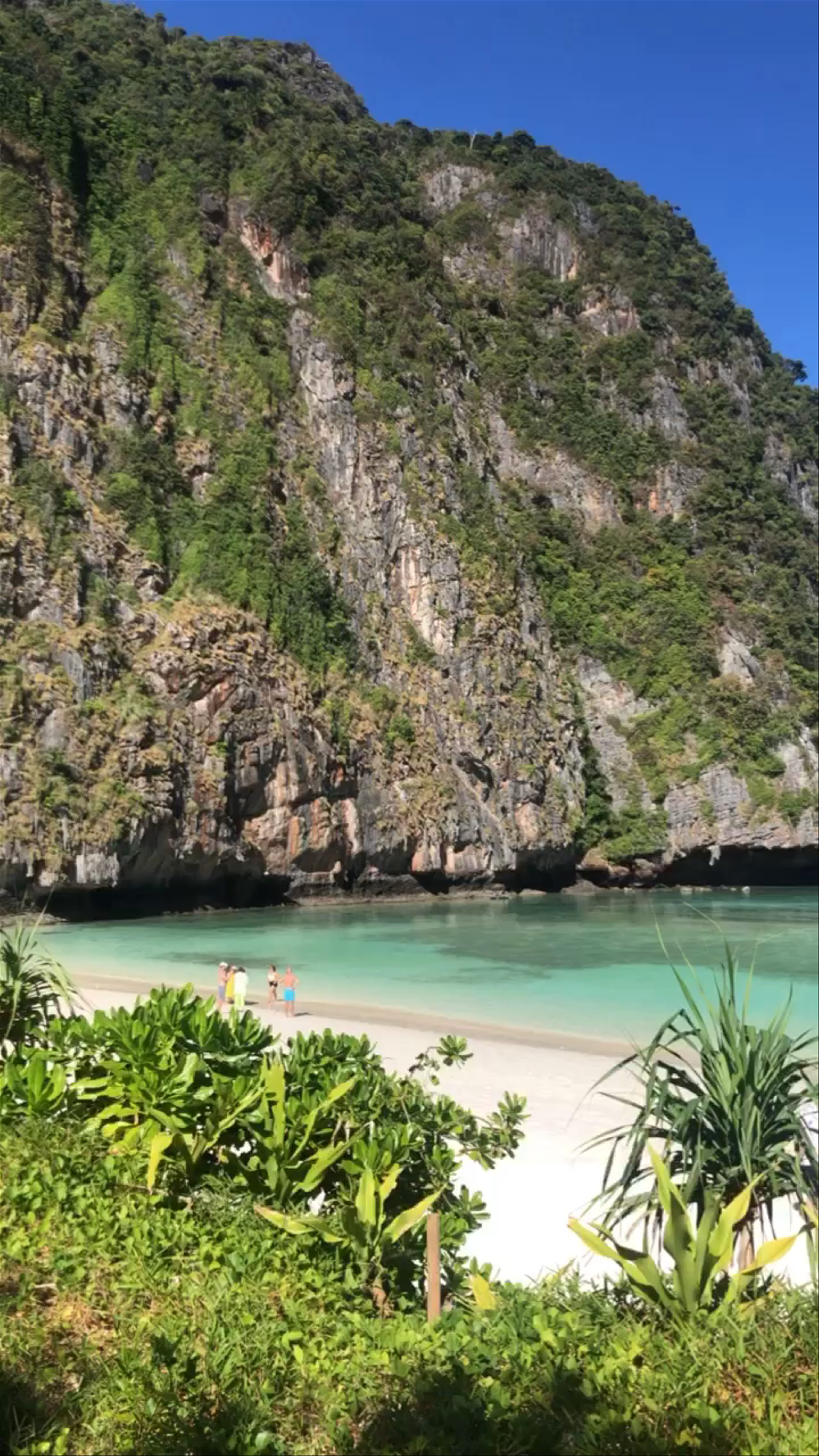 Maya Bay: Tropical Paradise in Thailand
