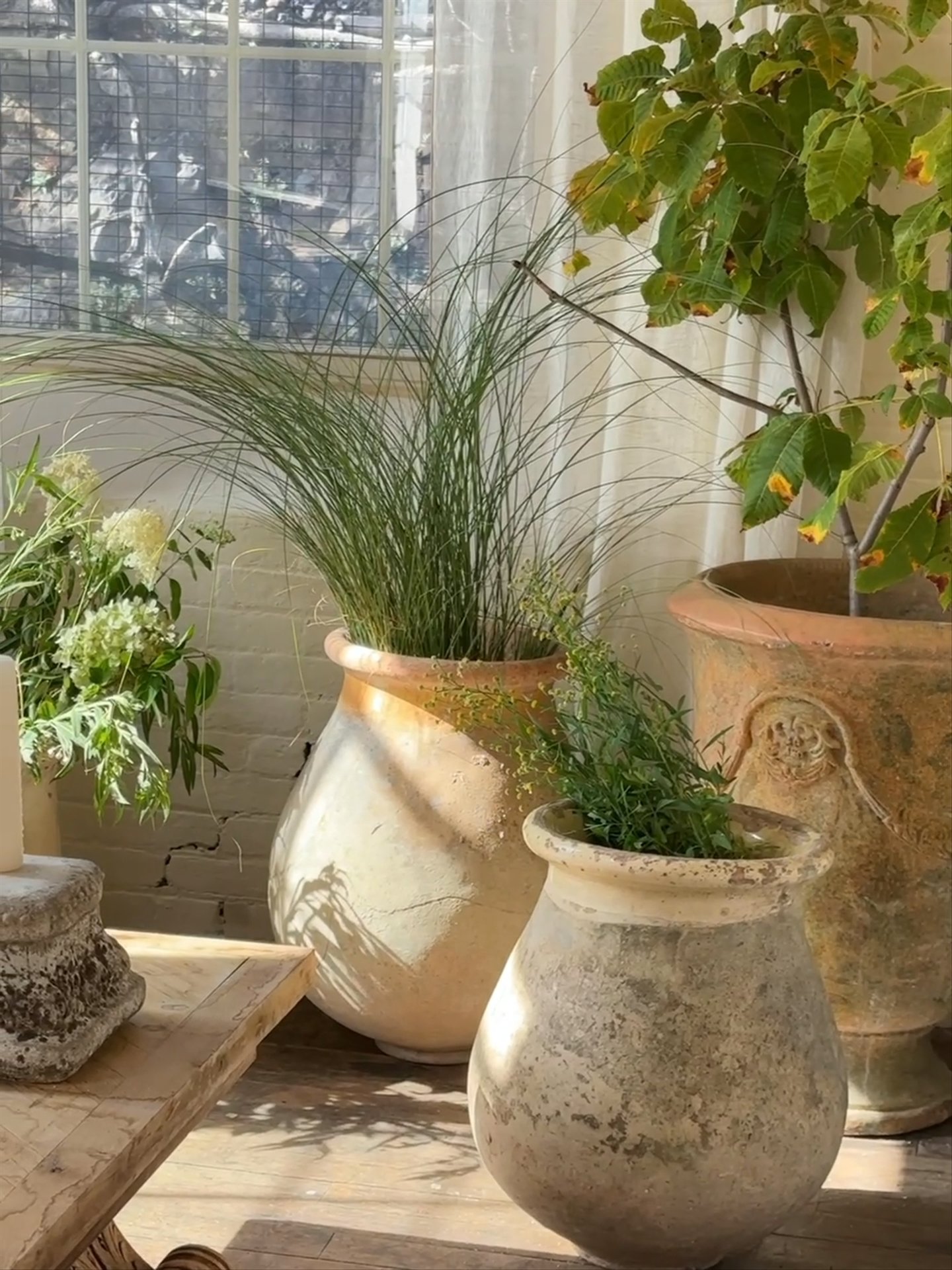 Antique Biot Olive Jar