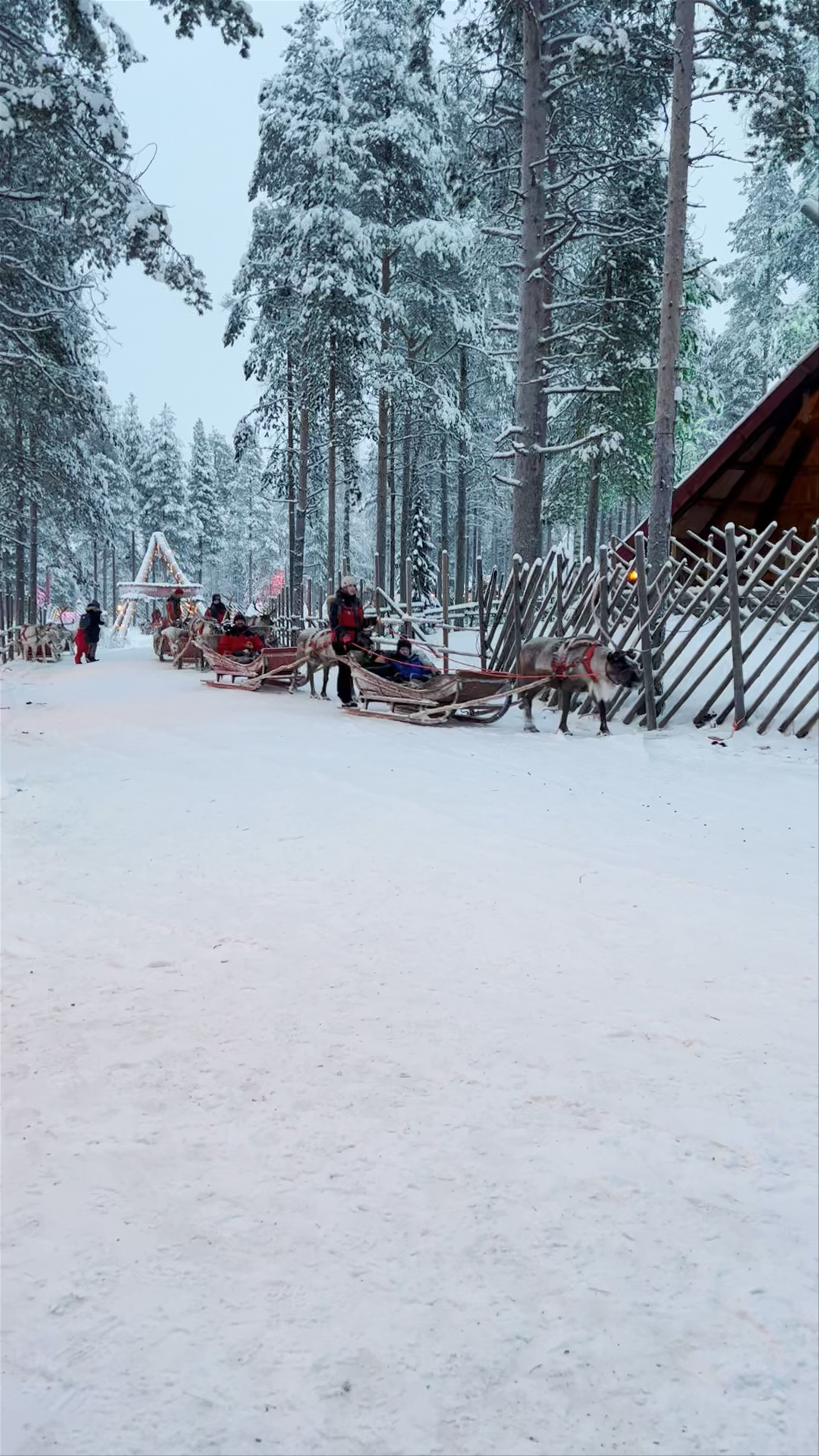 Santa Claus Reindeer