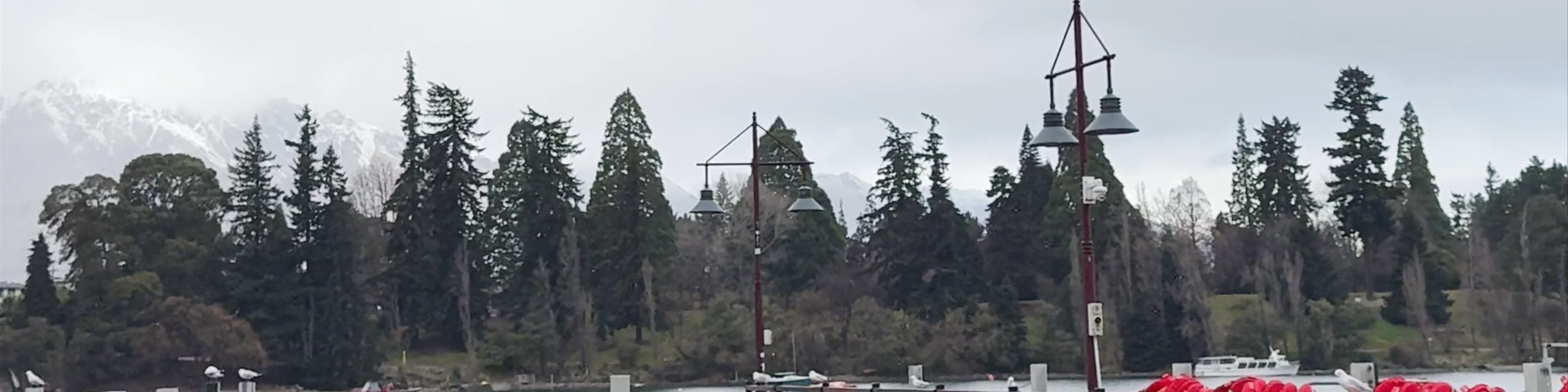 Queenstown Jet Boat - RealNZ Beach Street